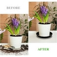 thumbnail image 5 of ZGDong Plant Saucer 12Pcs Set - 6/8/10 Inch Black Plastic Plant Trays, Drip Trays for Potted Plants Indoor Outdoor, Water Catcher Saucers for Flower Pot Drainage, 5 of 7