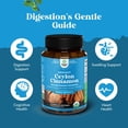 thumbnail image 6 of Organic Ceylon Cinnamon Extract Tablets 1000mg - Ceylon Cinnamon Organic Supplement for Immune System & Heart Health Aid - Immune Support Supplements for Adults - 60 Count, 6 of 9