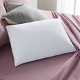 thumbnail image 1 of Sleep Innovations Classic Memory Foam Pillow, Queen, Made in The USA, 1 of 5