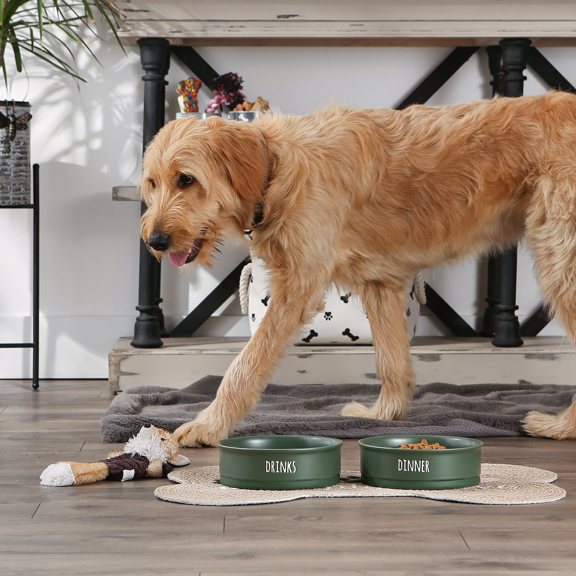 DII Pet Bowl Dinner And Drinks Hunter Green Large (Set of 2)