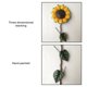 thumbnail image 2 of Yuarrent Estacas de girasol Girasol amarillo Decoración al aire libre Simulación Jardín Girasol Hierro Flor Césped Estatua Escultura para jardín Jardín y Patio, 2 of 6