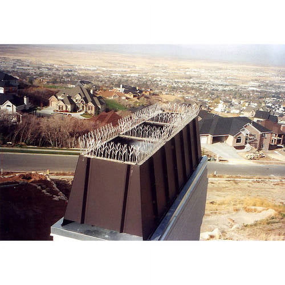 Bird-X Original Clear Plastic Bird Spikes Permanent Bird Repellent 100 Feet Pigeons Starlings Sparrows Seagulls