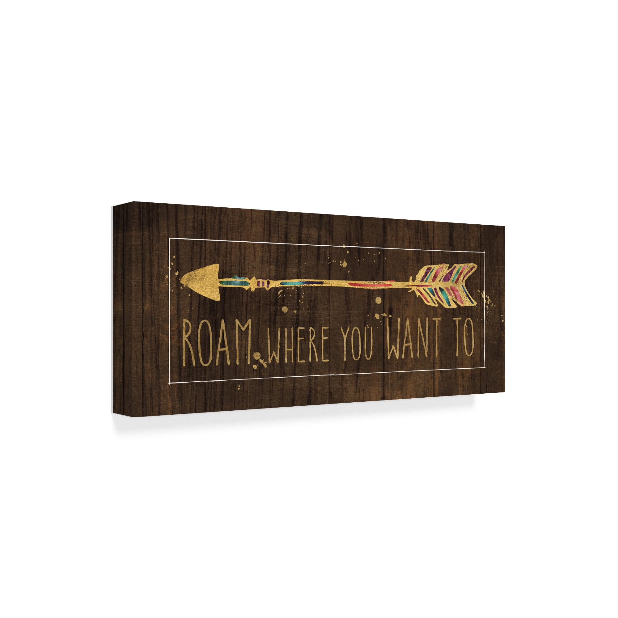 Trademark Fine Art 'Beautiful Arrows IV on Wood' Canvas Art by Pela Studio