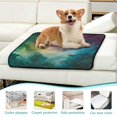 thumbnail image 6 of Qxltty Colorful Milky Way Cat litter Pads Pet Set of 3 Diaper Mats Center Anti-leakage Layer Absorbent Soft and Comfortable, 6 of 7
