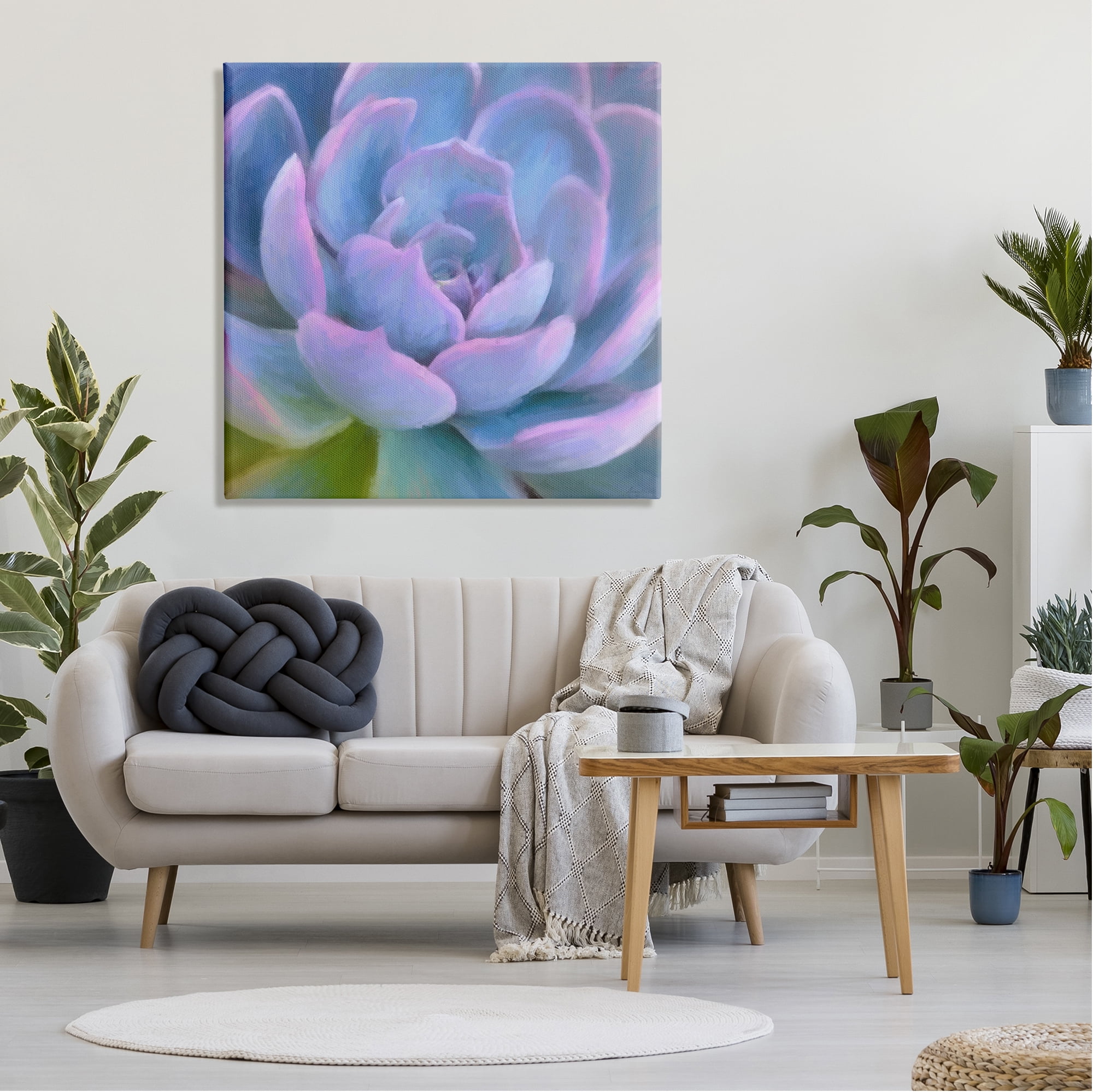 Stupell Industries Purple Modern Succulent Botanical & Floral Painting Gallery Wrapped Canvas Print Wall Art, 36 x 36
