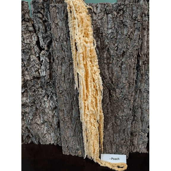 Preserved Amaranthus- Peach