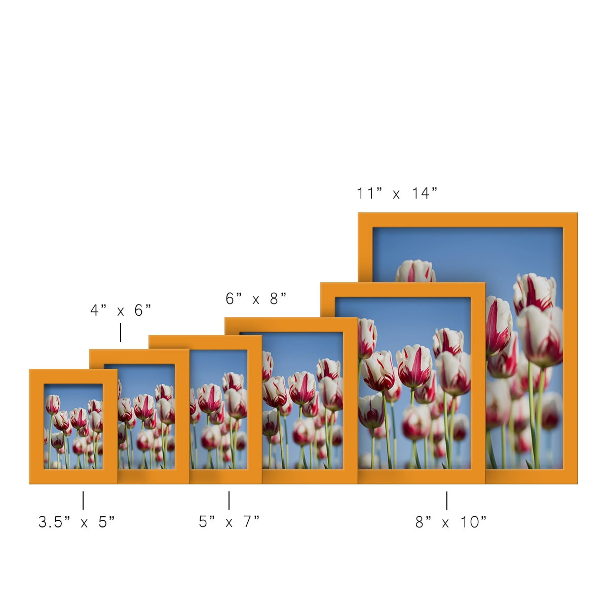 Modern 6 in. x 8 in. Orange Picture Frame (Set of 4)
