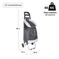 thumbnail image 2 of Carrito Plegable Multifuncional Queen Sense Ideal Para Mandado Supermercado Con Bolsa De Lona Color Gris, 2 of 6