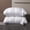 White, variant on Soft Luxury 5-Star Hotel Quality Pillow, Deep Sleep Neck Support, 20x30 Inches, Polyester, 2 Pack