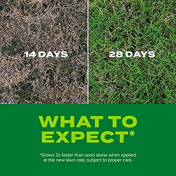 Scotts Turf Builder Rapid Grass Bermudagrass - Combination Seed and ...