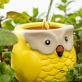 thumbnail image 3 of Toystoory Jardinera automática con liberación de agua de Healthy Garden Companion con filtración de agua duradera Jardín y Patio, 3 of 6