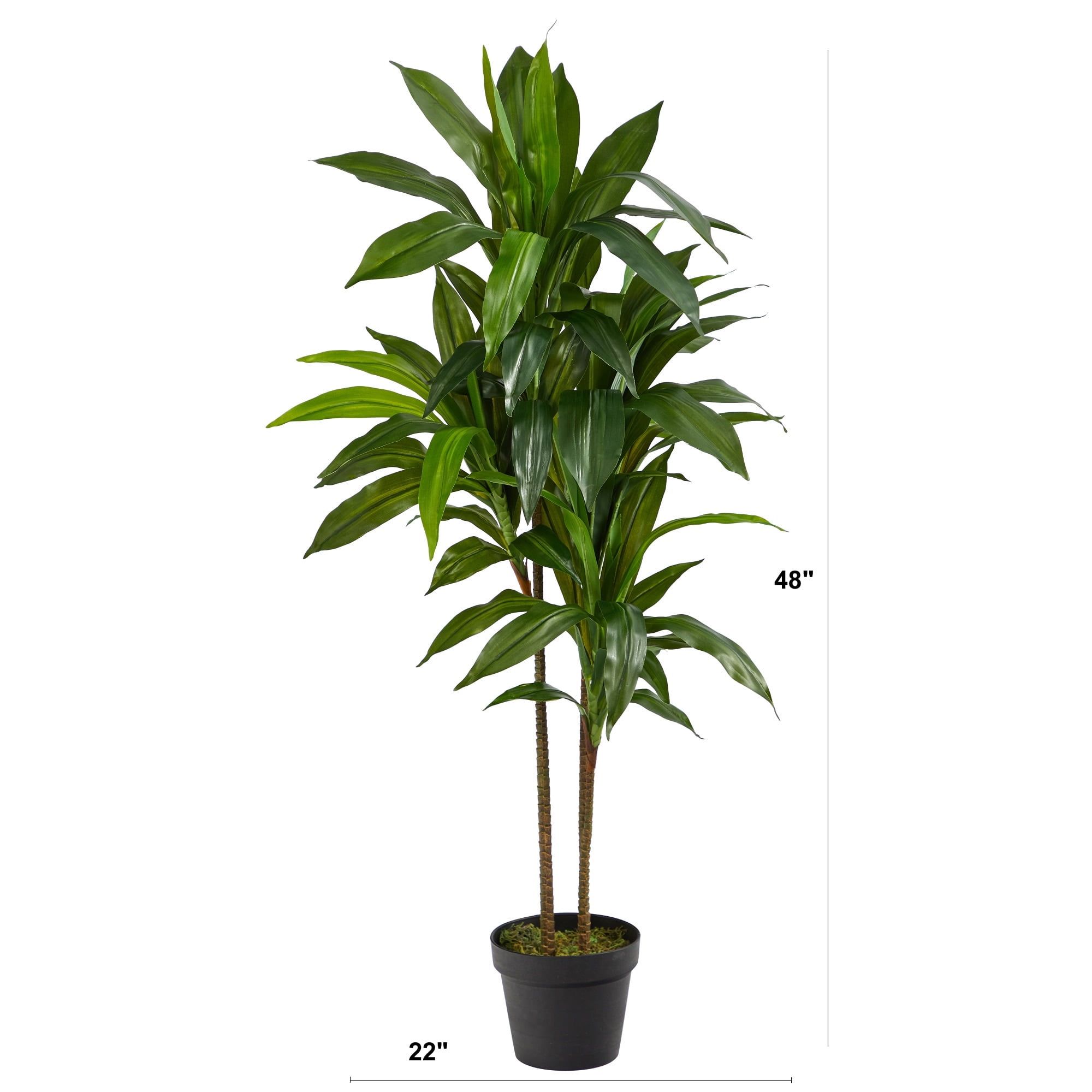 Nearly Natural 6456 Real Touch 4 ft. Indoor Dracaena Artificial Plant in Sand Planter