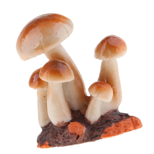 Little Resin Crafts calcomanías de hongos para , tamaño de bolsill Marrón B Sunnimix Estatuilla de hongos en miniatura