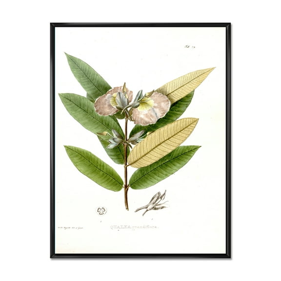 Ancient Blossoming Flower II 12 in x 20 in Framed Painting Canvas Art Print, by Designart