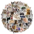 thumbnail image 1 of Cute and tough cat stickers - 50 pcs in the package! multi color, 1 of 5