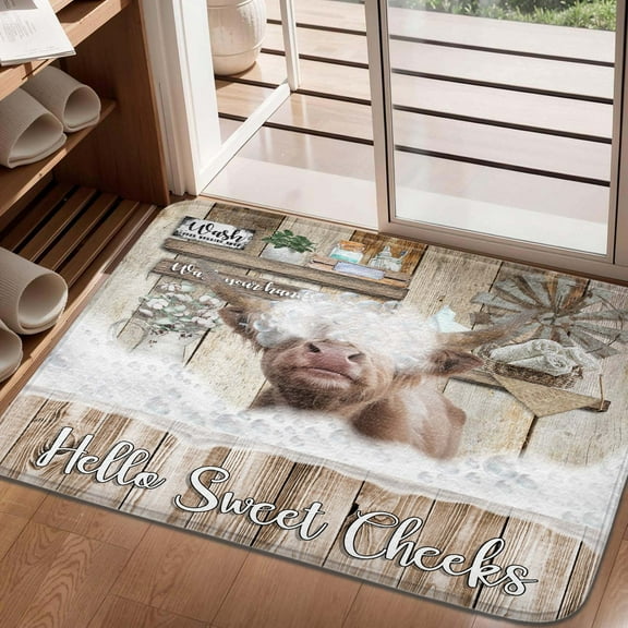 Highland Cow Bathroom Mat, Brown funny Bathroom Rug non slip Bath Mats Retro Farmhouse Floor Rug for Kitchen Bedroom Indoor 17x29in