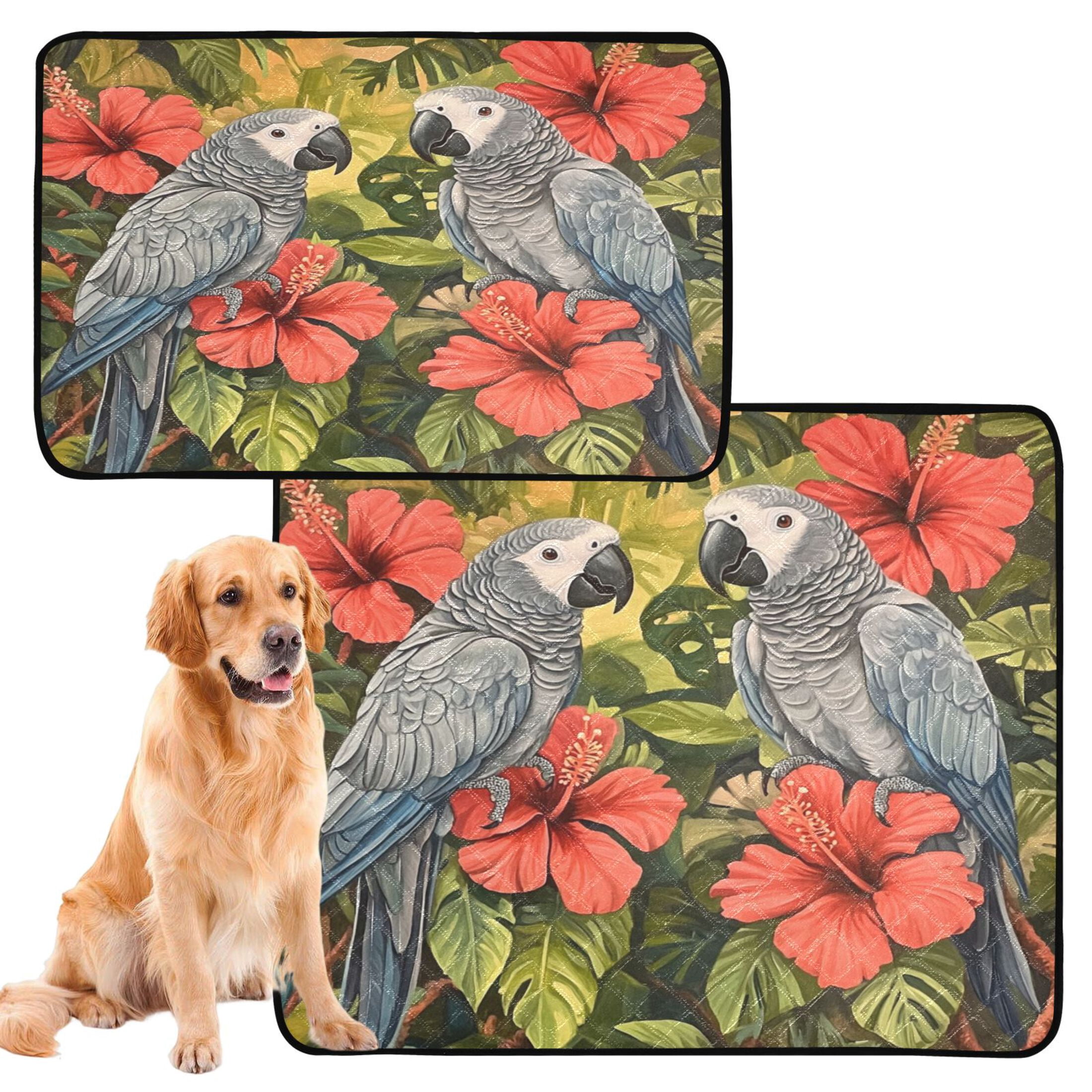 Qxltty Two Playful Gray Parrots Cat litter Pads Pet Set of 3 Diaper Mats Center Anti-leakage Layer Absorbent Soft and Comfortable