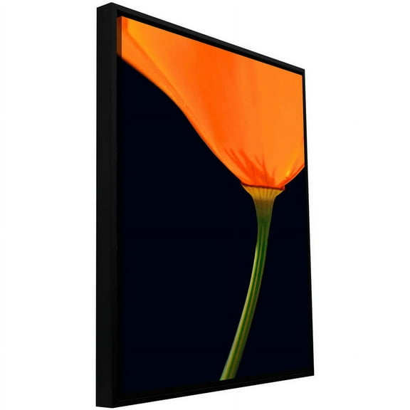 ArtWall Dean Uhlinger "Pauma Valley Poppy" Floater Framed Gallery-Wrapped Canvas