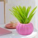 thumbnail image 5 of Maceta de Plástico con Forma de Calabaza | Jarrón Decorativo para Halloween y Acción de Gracias | Resistente y Ligero, En Azul, Rosa, Blanco, Rojo y Amarillo | Maceta para Interior y Exterior con Bas, 5 of 6