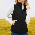 thumbnail image 2 of Htigea Puffer Vest for Women Sleeveless Zip Up Outerwear Stand Collar Quilted Vest Warm Winter Jackets Coats with Pocket Black S, 2 of 9