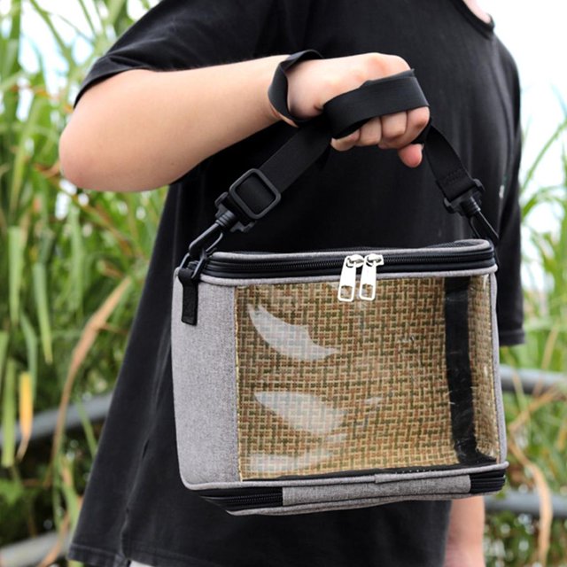 Bird Parrot Carrier Travel Bag for Parakeets Cockatiels Conures Finches Small Medium Birds Cage Outside Car Lightweight Transparent gris Salvador Portador de pájaros