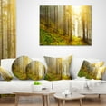 thumbnail image 4 of Designart Sun Finds its Way in Forest - Landscape Photography Throw Pillow - 16x16, 4 of 5