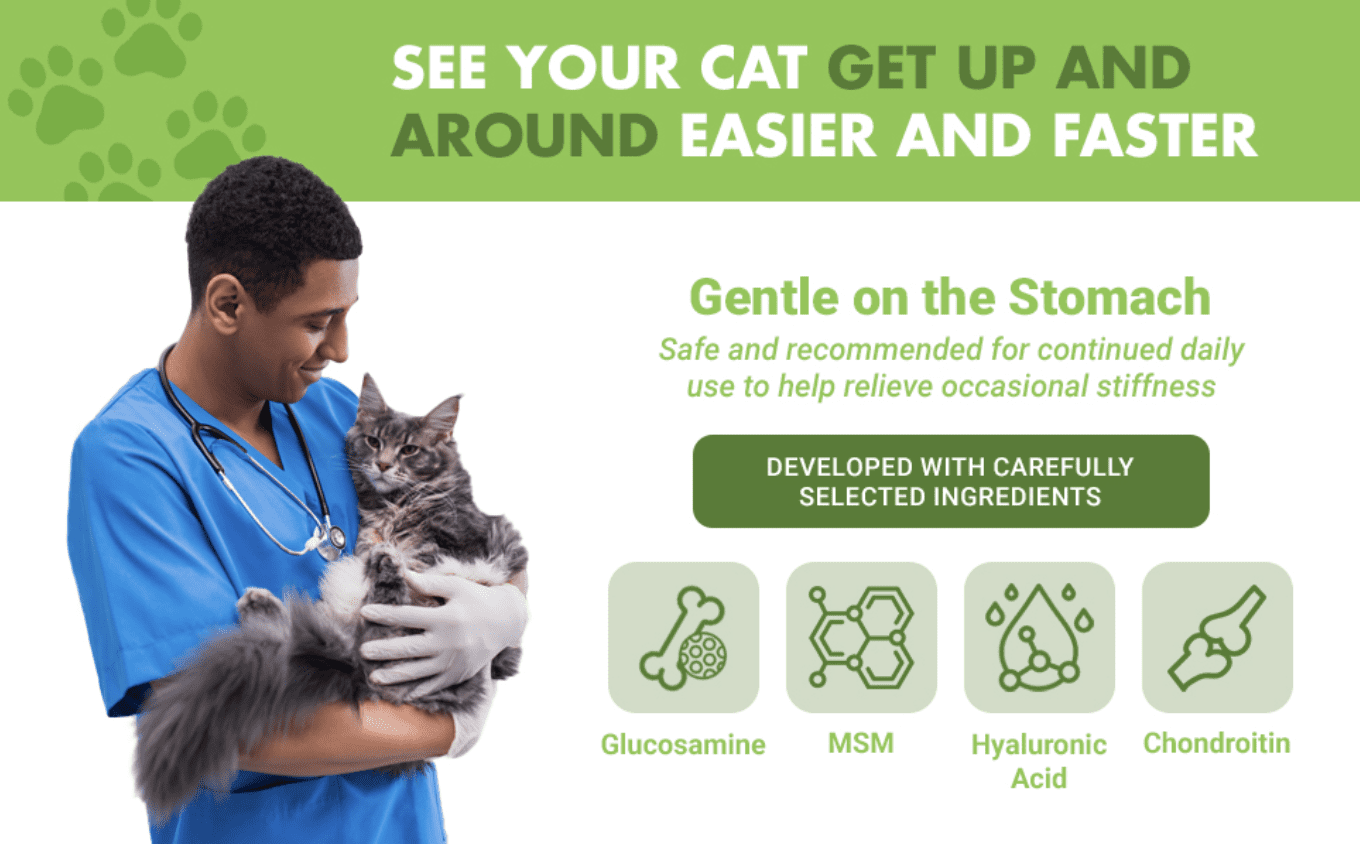 Liquid-Vet Hip & Joint Saver Supplement for Cats with Glucosamine, Chicken, 8 oz.