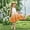 Orange, variant on Piuwrlz Girls Summer Dresses Girl Casual Play Dresses Pleated Skirts Black Size 5 Years