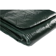 Stansport 16 ft. x 20 ft. Rip-Stop Tarp