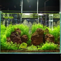 Milisten 2Pcs Hideout Aquarium Decor Aquarium Coral Ornament Green Environmentally Friendly Resin Natural Style