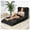 Black, variant on Sanae Foldable Sofa Bed, Multifunctional Lazy Chair, Japanese Floor Futon Cushion, Portable Recliner for Living Room & Bedroom, Apricot