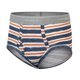thumbnail image 2 of Brief Underwear Hanes con estampados de dinosaurios para niños pequeños, paquete de 10, 2 of 2