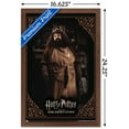 thumbnail image 3 of Harry Potter and the Sorcerer's Stone - Hagrid Cooking Wall Poster, 14.725" x 22.375", Framed, 3 of 3