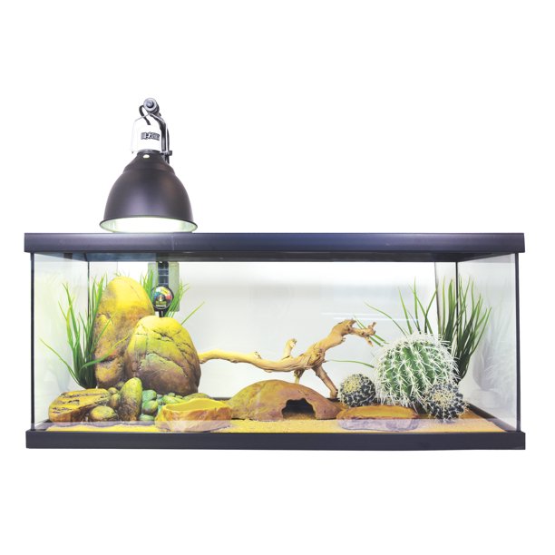 Exo Terra 20Gallon Juvenile Bearded Dragon Starter Kit