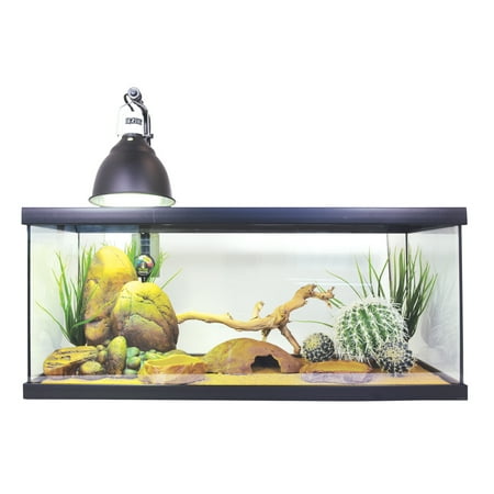 Exo Terra 20-Gallon Juvenile Bearded Dragon Starter Kit