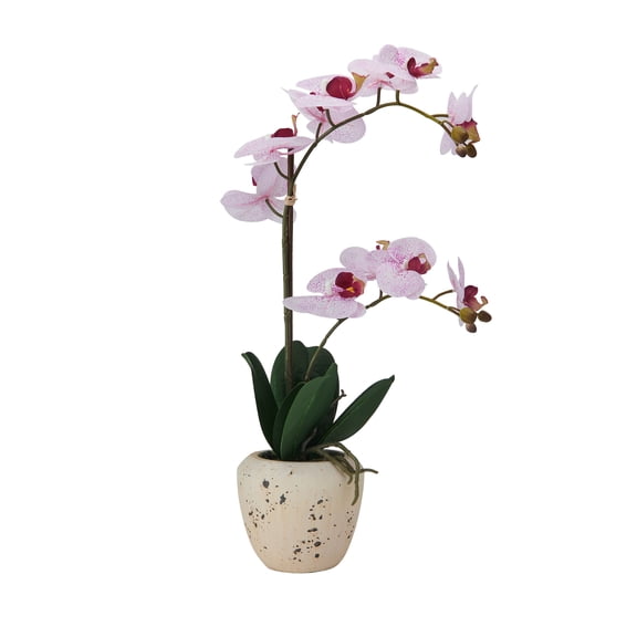 Home Accents 22-inch Artificial Real Touch Phalaenopsis Orchid in Cement Pot, Pink