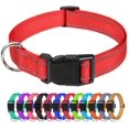 thumbnail image 1 of Collar de perro TagMe de nailon reflectante ajustable para perros medianos, 1 of 7