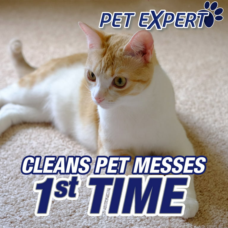 RESOLVE® Pet Specialist Heavy Traffic Foam Carpet Cleaner