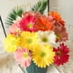 thumbnail image 5 of Flores artificiales de gerbera de PU de 38,5 cm, estilo INS, para decoración del hogar, flores falsas, decoraciones para bodas, 5 of 5