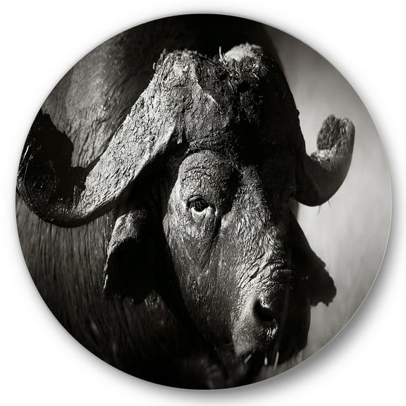 Designart 'Black and White Portrait Of Buffalo II' Farmhouse Circle Metal Wall Art 36x36 - Disc of 36