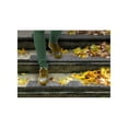 thumbnail image 4 of Non-Slip Nosing, 4 of 5