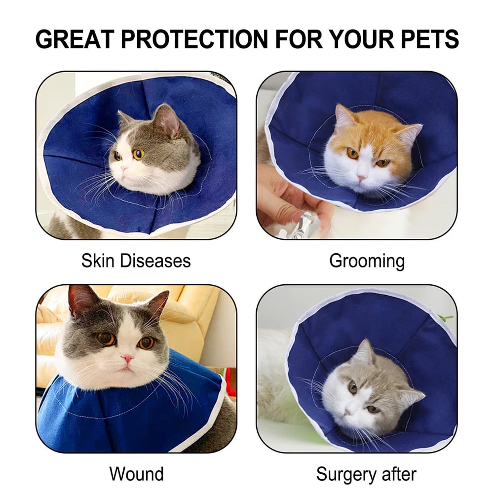 Fabric e collars for dogs sale