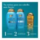 thumbnail image 4 of Acondicionador Ogx con aceite de argán de Marruecos 385 ml, 4 of 4