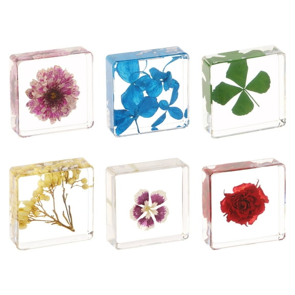 6Pcs Pressed Flower Paperweight Clear Square Resin Paperweight Table Decor for Desktop Bookshelf Office Ornament