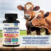 Zoyava Bovine Colostrum Supplement Capsules 5250 MG, Grass Fed Cow Colostrum with 40% IgG 500MG, Probiotics 50MG, Elderberry 2000MG, L-Glutamine 200MG, Astragalus 2000MG Vitamin C, Ginger, Zinc