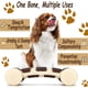 thumbnail image 3 of Dog Chew Toy, Aggressive Dog Tough Nylon Chew Bone, Beef Flavor, For Training And Teeth Cleaning, For Small And Medium Dogs (m), 3 of 5