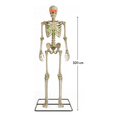 thumbnail image 4 of Decoracion Halloween Esqueleto Gigante Luz Led 3.2m, 4 of 4