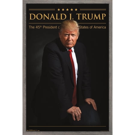 President Donald Trump Wall Poster, 14.725" x 22.375", Framed
