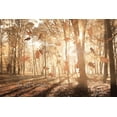 thumbnail image 2 of Deiter, Lori 32x23 White Modern Wood Framed Museum Art Print Titled - The Gift of Nature, 2 of 4