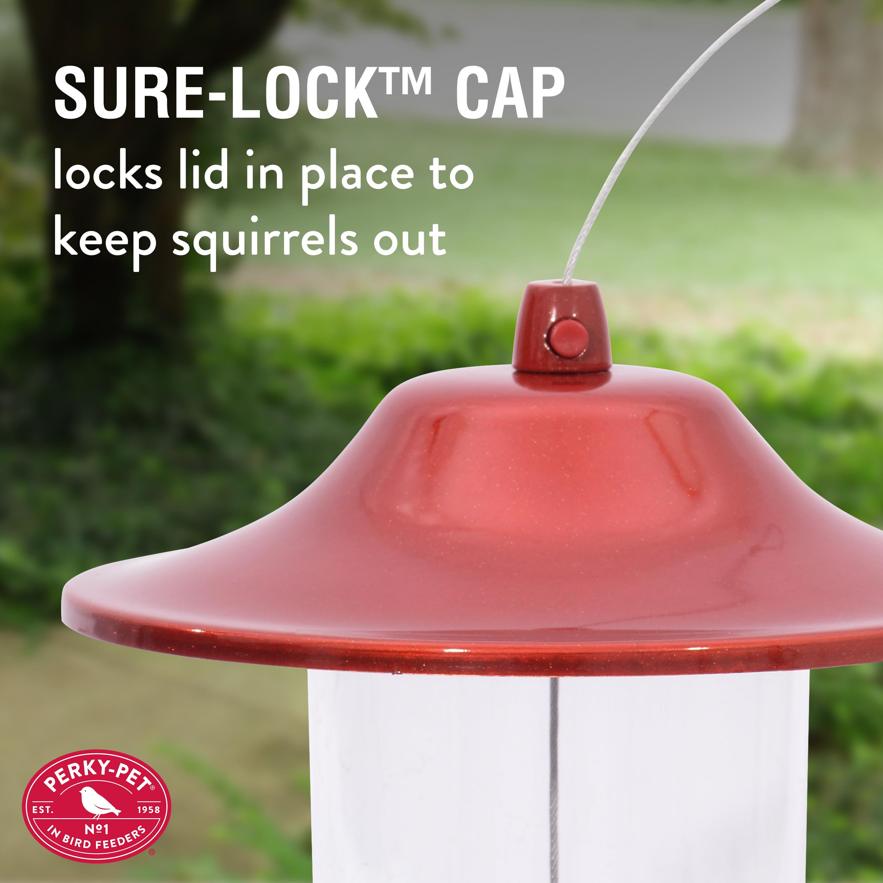 Perky-Pet Red Panorama Wild Bird Seed Feeder - 2 lb Capacity